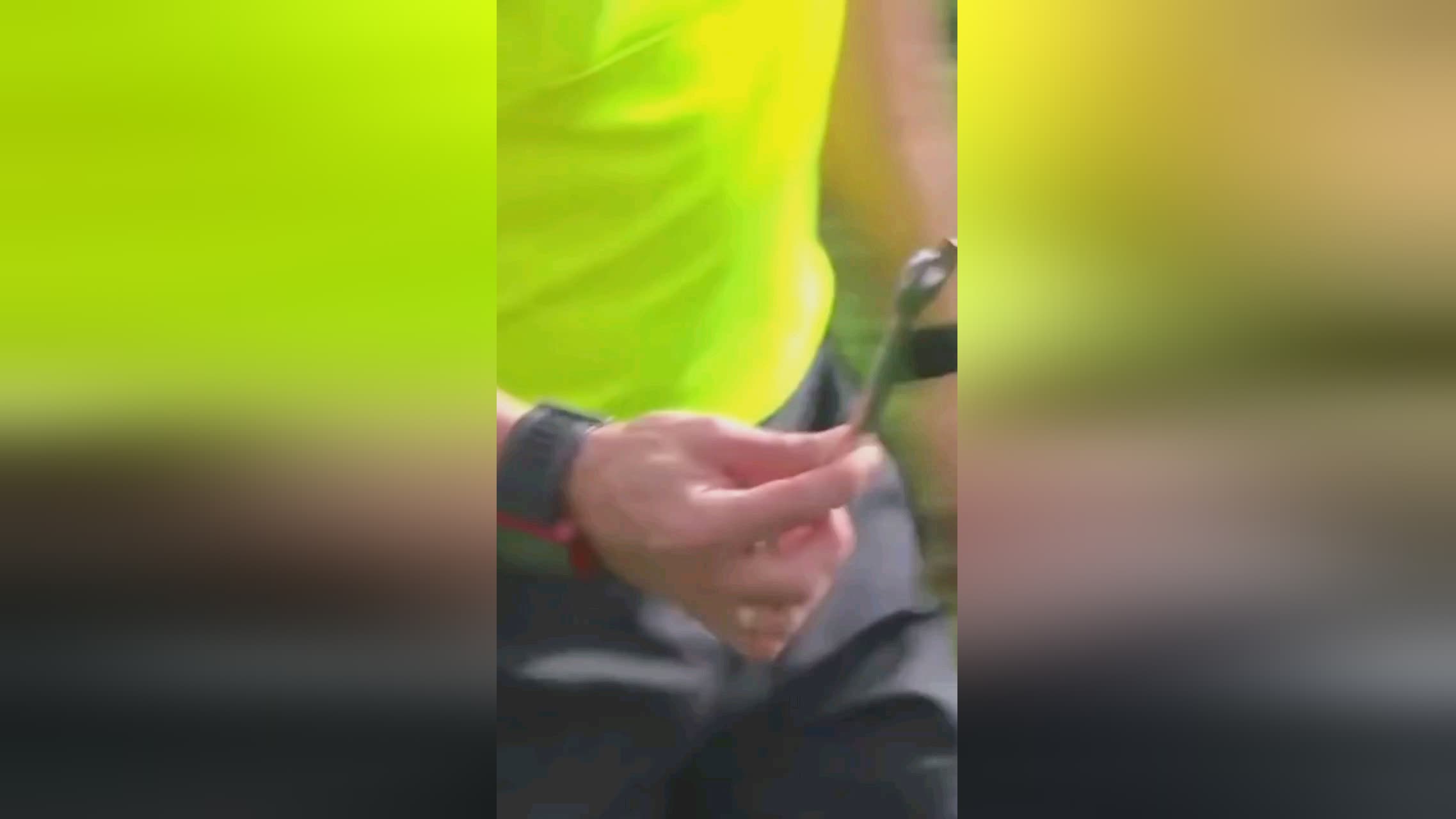 词马