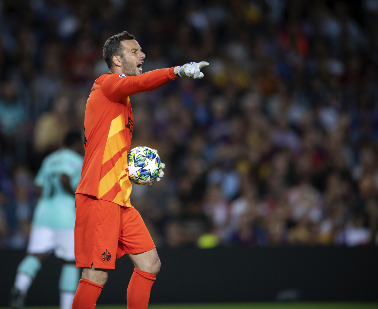 职业生涯的 职业生涯的